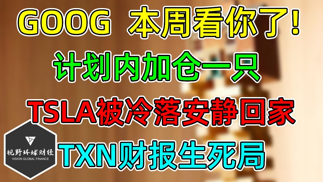 美股 GOOG，本周看你了！计划内加仓一只个股！TSLA安安静静回落！TXN财报生死局！ — 视野环球财经