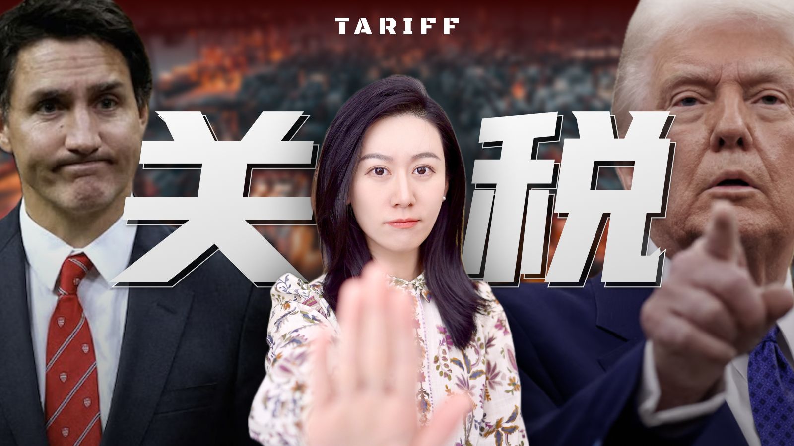 一口气了解关税 — 小Lin说