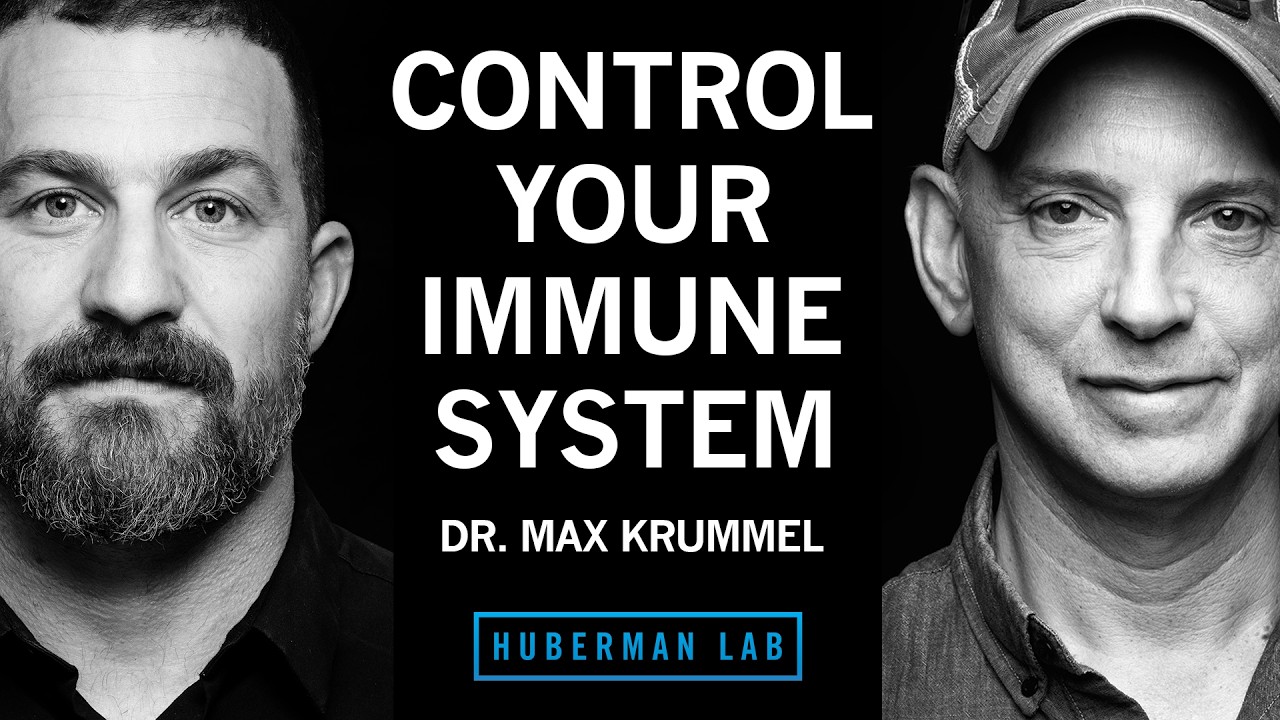 How Your Immune System Works & How to Improve It | Dr. Max Krummel — Andrew Huberman
