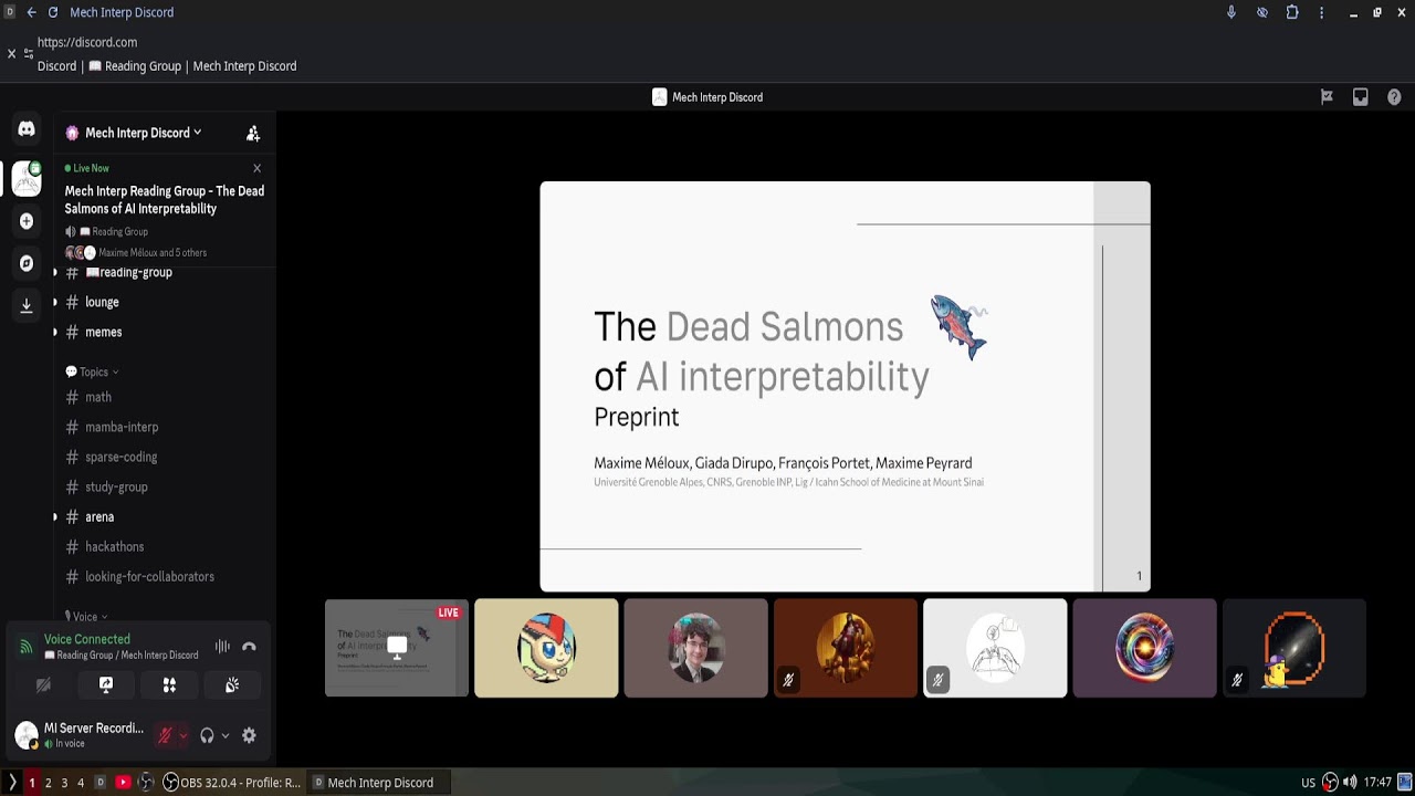 Mech Interp Reading Group -  The Dead Salmons of AI Interpretability — Mech Interp Discord Server Recordings