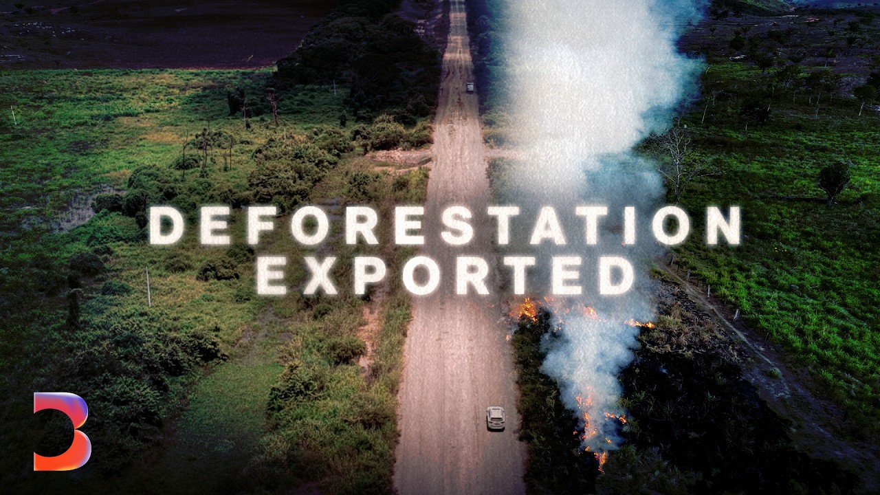 The Deal That May Reshape the Amazon’s Future — Bloomberg Originals