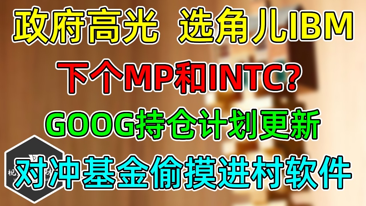 美股 IBM下一个MP和INTC？分化明显，共同基金加半导体，对冲基金挺软件！GOOG持仓计划更新！ — 视野环球财经