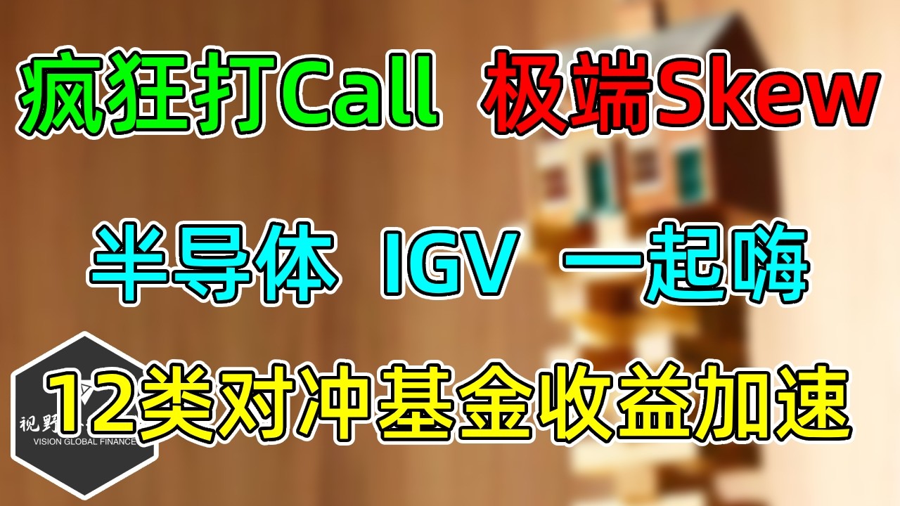 美股 期权极端Skew再现！疯狂打Call！SMH、SOXX、IGV近期新高！12类对冲基金收益加速！ — 视野环球财经