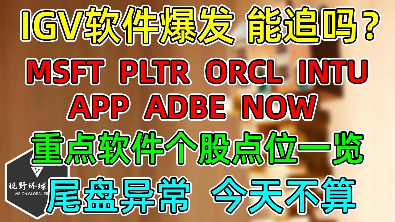 美股 IGV软件爆发，还涨吗？能追吗？软件重点个股点位！MSFT、PLTR、ORCL、IBM等！尾盘走势，今天不算！ — 视野环球财经