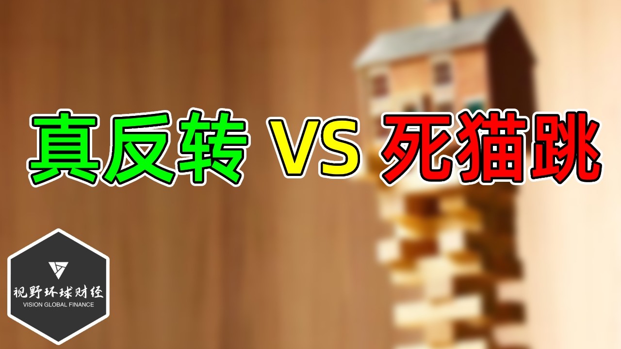 美股 纳指大涨，反转还是死猫跳？投行多空分歧明显！SOXX暂未破位！风险事件越来越近！ — 视野环球财经