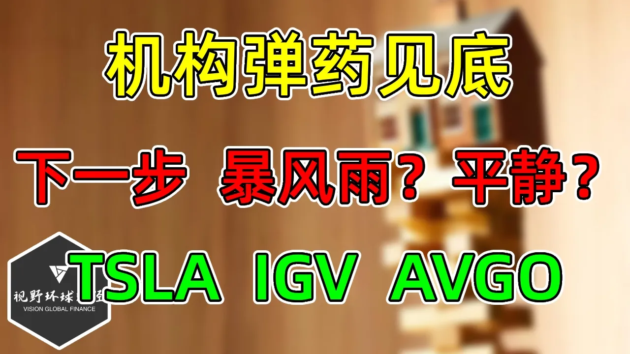美股 机构弹药见底！下一步，暴风雨？平静？TSLA、IGV、AVGO！ — 视野环球财经