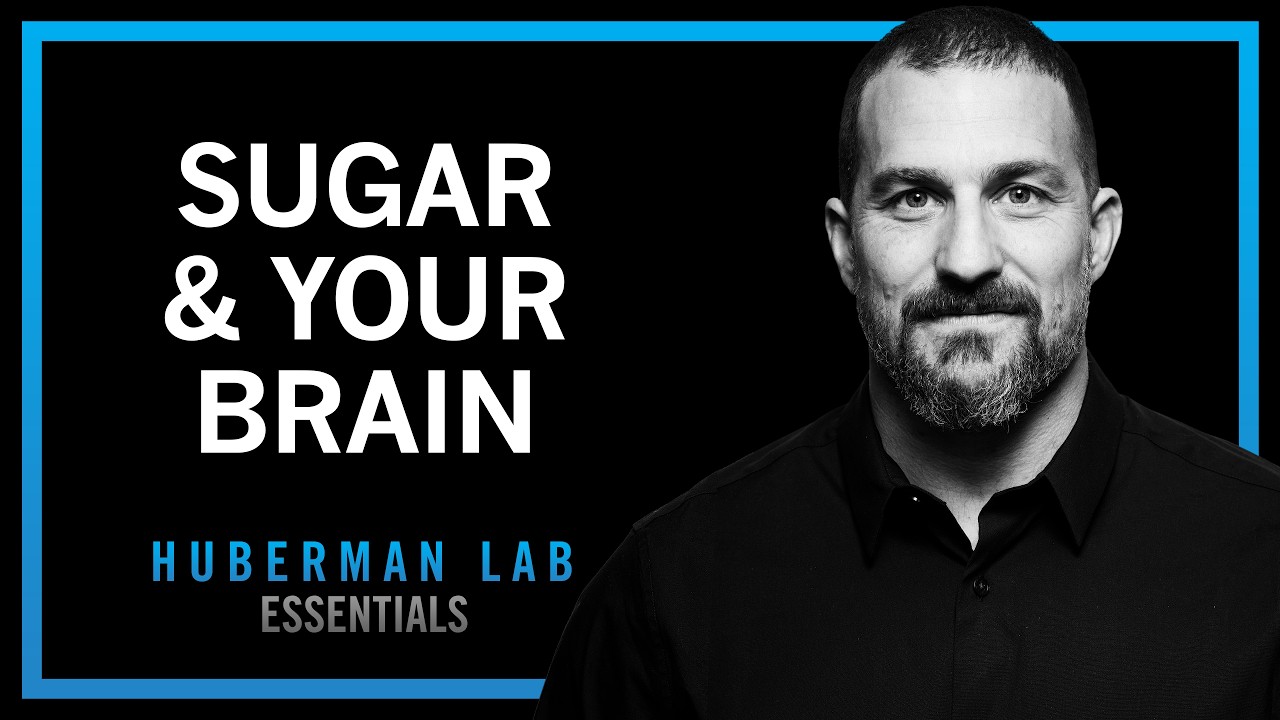 Control Sugar Cravings & Metabolism with Science-Based Tools | Huberman Lab Essentials — Andrew Huberman