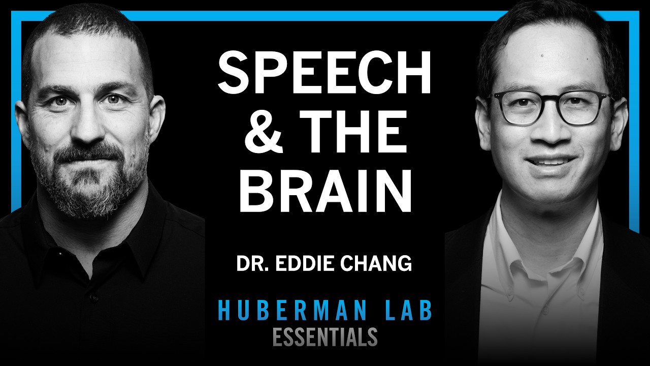 Essentials: The Science of Learning & Speaking Languages | Dr. Eddie Chang — Andrew Huberman