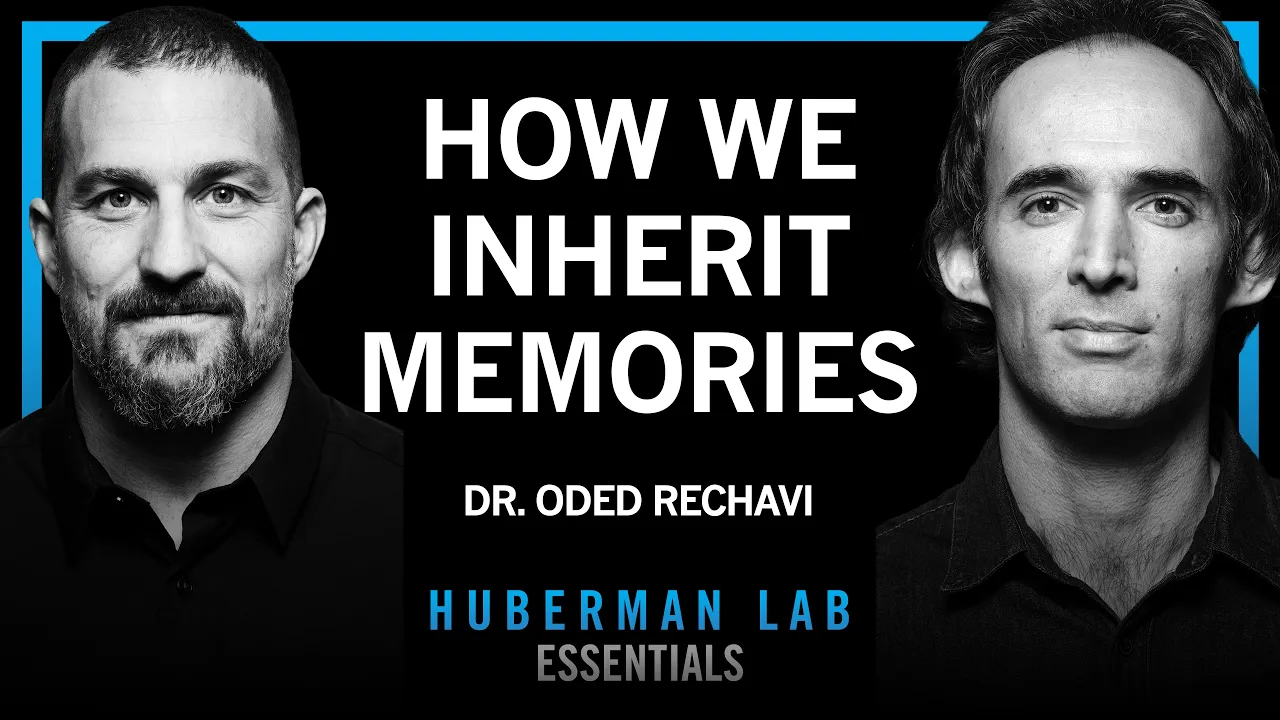 Essentials: Genes & the Inheritance of Memories Across Generations | Dr. Oded Rechavi — Andrew Huberman