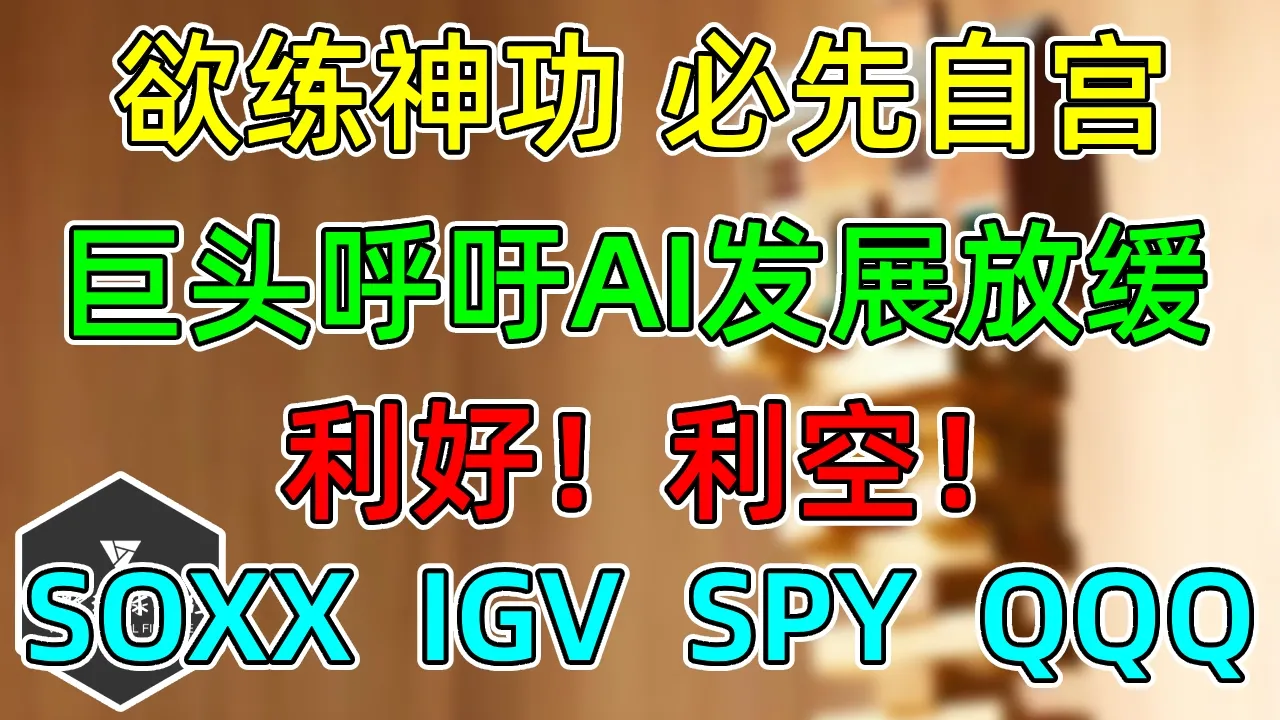 美股 三家巨头呼吁AI发展放缓，半导体暴跌！利好！利空！何去何从？几个思考！ — 视野环球财经