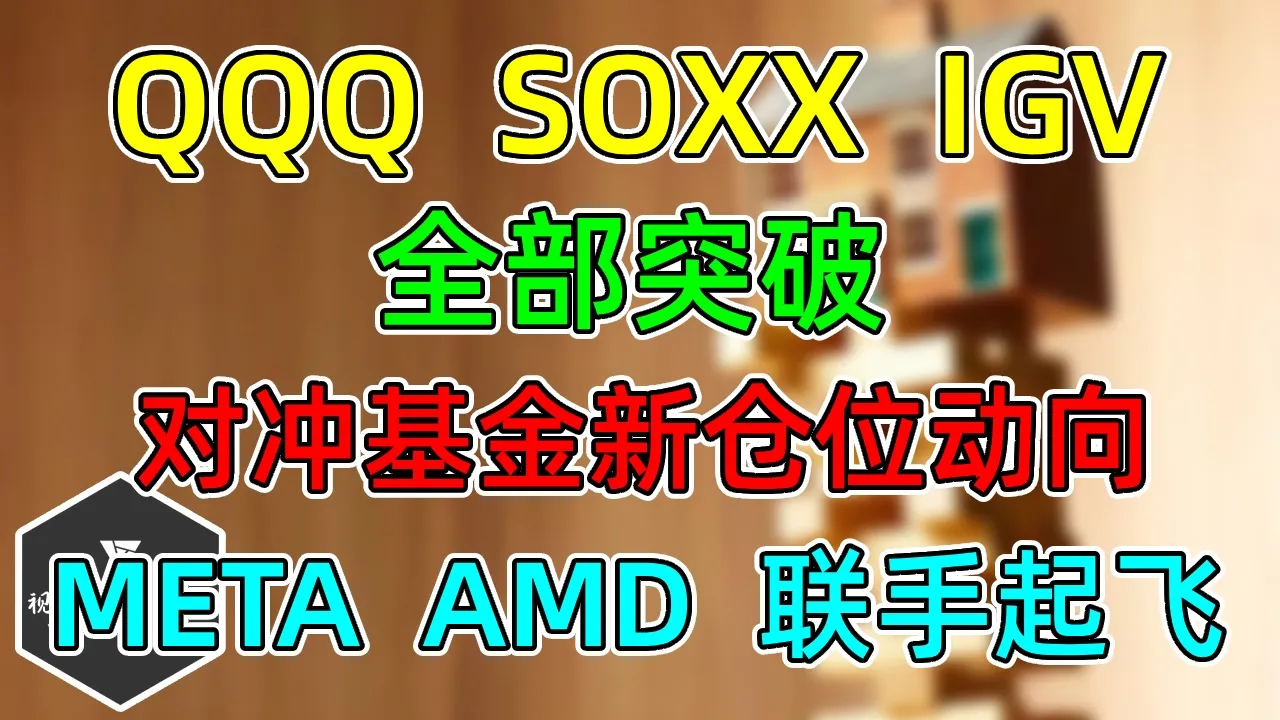 美股 META、AMD联手起飞！QQQ、SOXX、IGV，全部突破！对冲基金、散户，在买什么？ — 视野环球财经