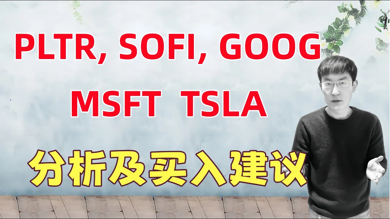 个股点评及买入建议：PLTR，SOFI，GOOG，MSFT，TSLA — 老李玩钱