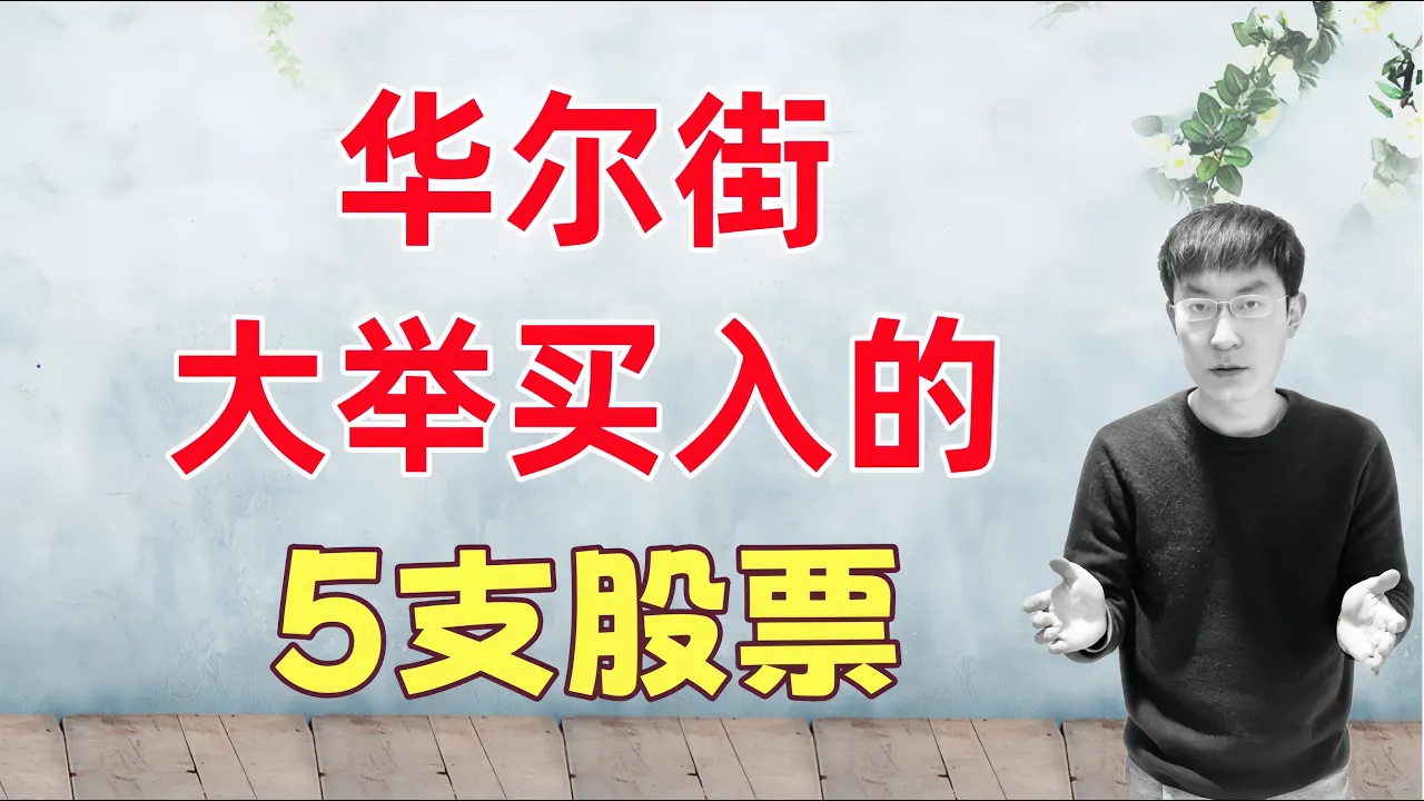 华尔街大举买入和加仓的5支股票！我的看法及买入建议 — 老李玩钱
