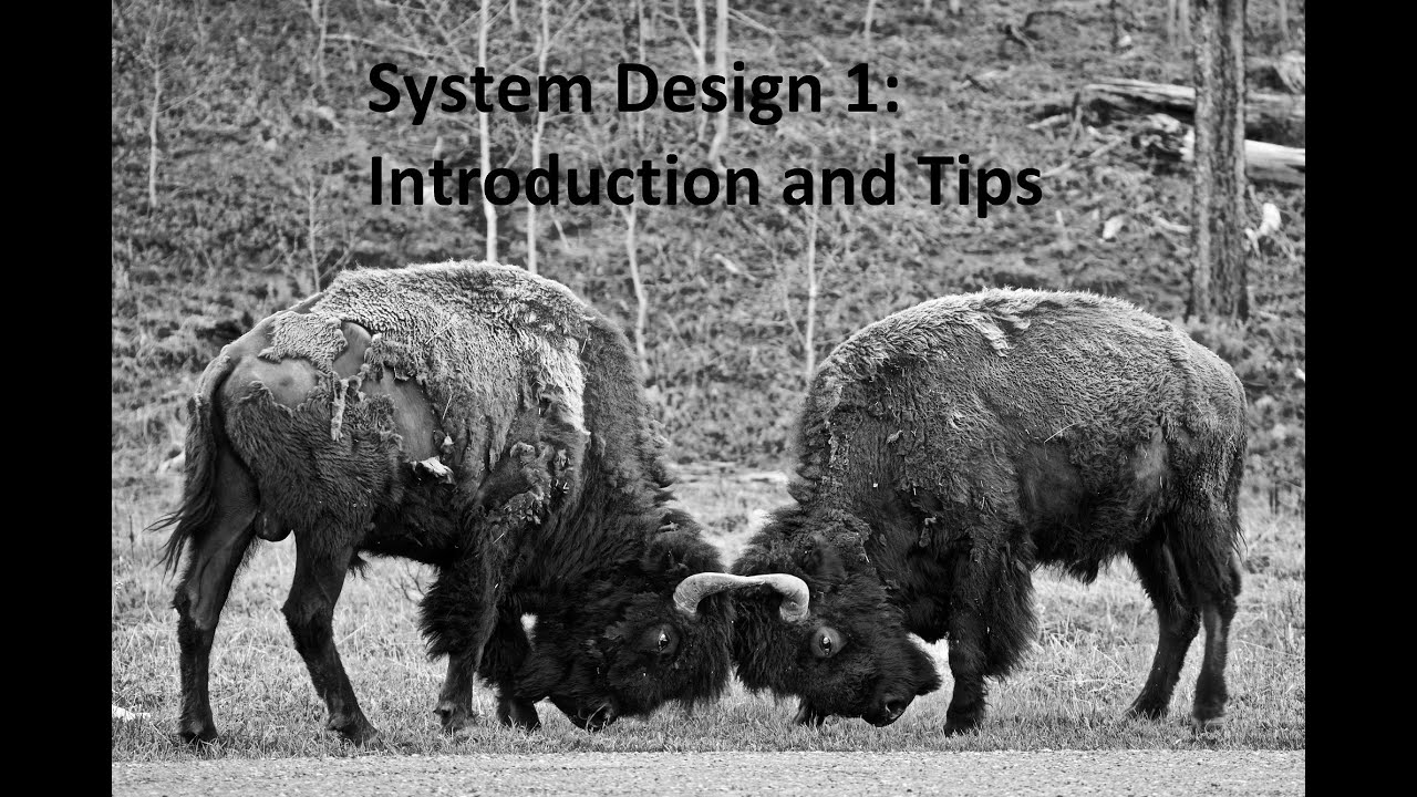 [Chinese] Chapter 1: System Design Tips and Introduction — Scott Shi
