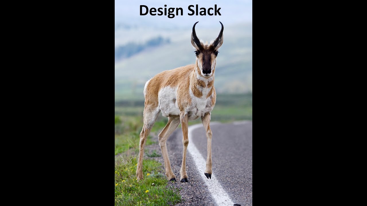 [Chinese] Case Study: Design Slack — Scott Shi
