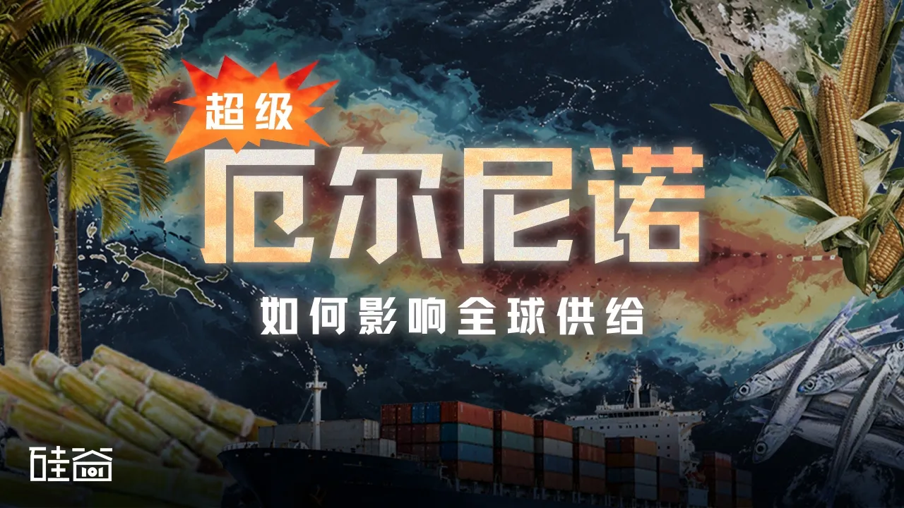 E254｜超级厄尔尼诺来了，我们的日常所需真会因它涨价吗？ — 硅谷101播客