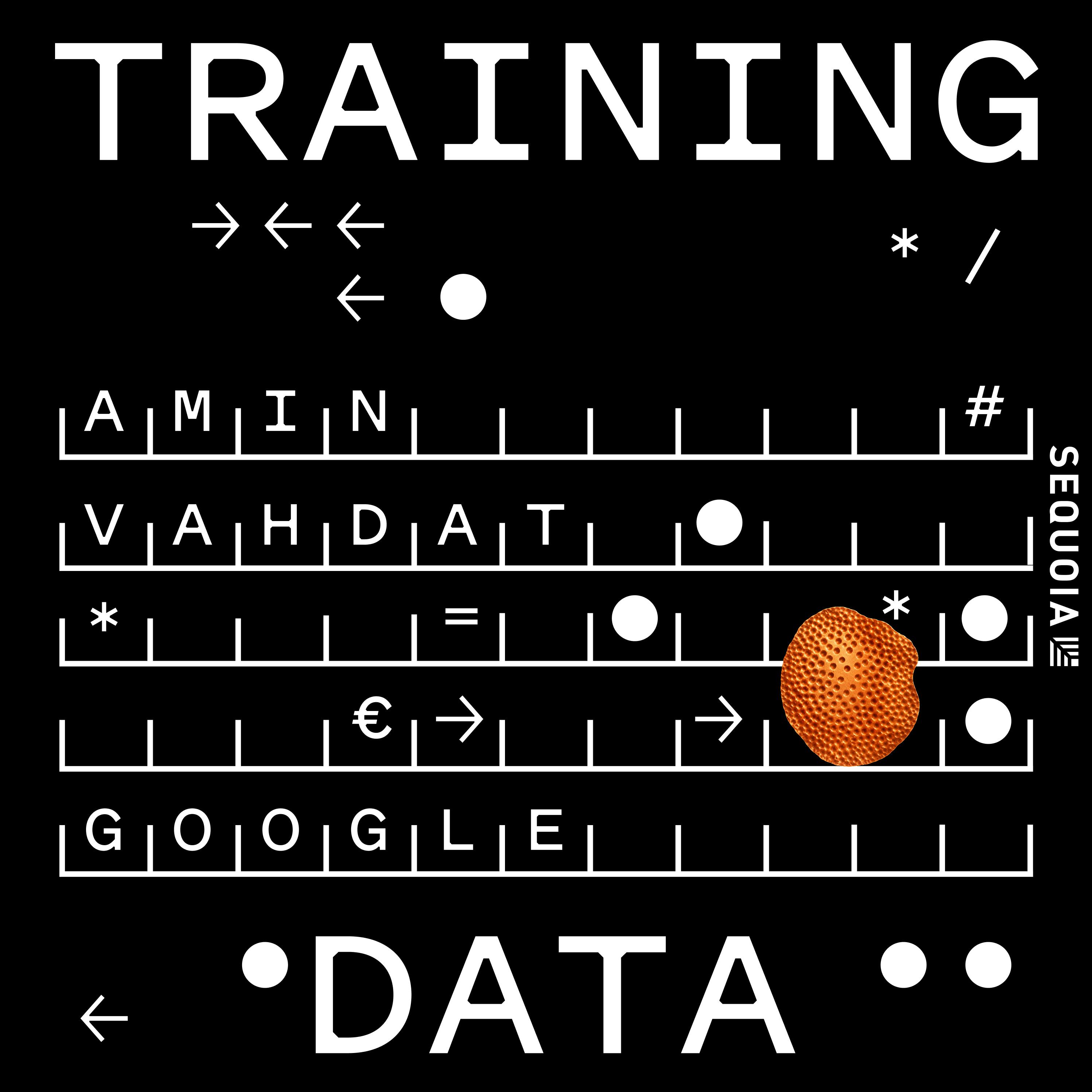 Google's AI Infrastructure Chief, Amin Vahdat, on the Physics & Economics of Frontier AI — Sequoia Capital