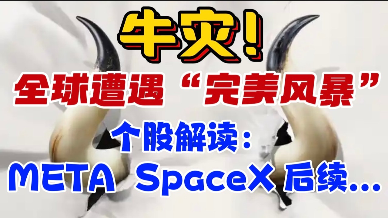 牛灾！全球遭遇“完美风暴”！个股解读： META，SpaceX 后续...？ — 贝拉聊财金