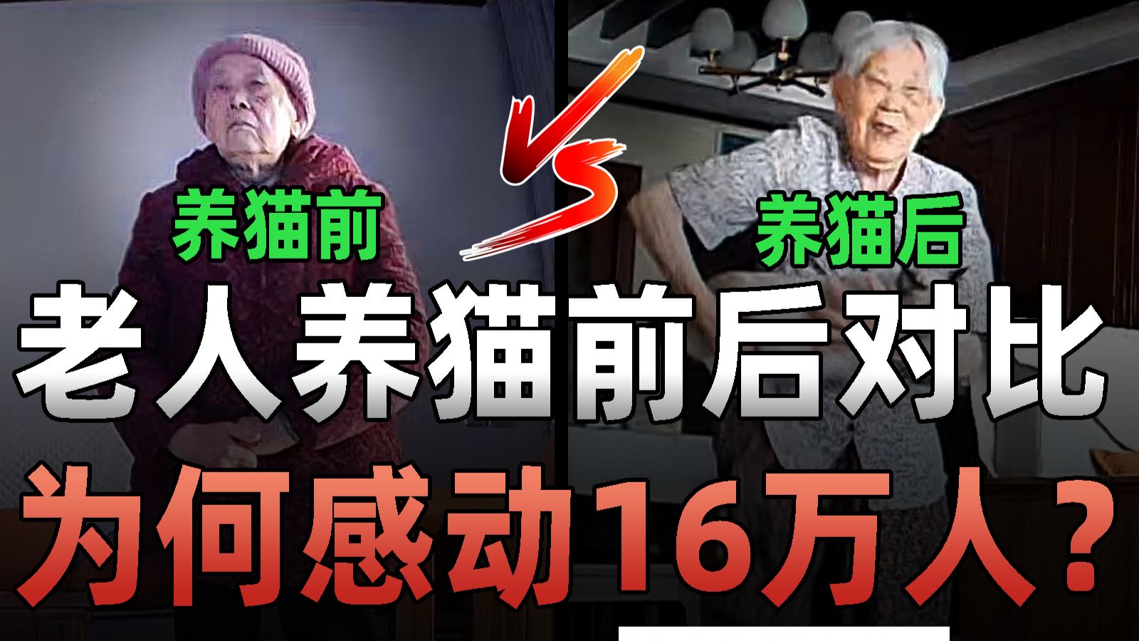 老人养猫前后对比图，被16.3万人点赞，这一幕凭什么让数十万网友泪目? — 王小七Fire