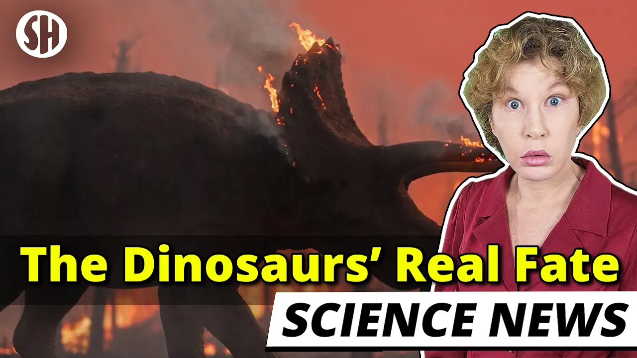 We Finally Know How the Dinosaurs Died. It Was Worse Than We Thought — Sabine Hossenfelder
