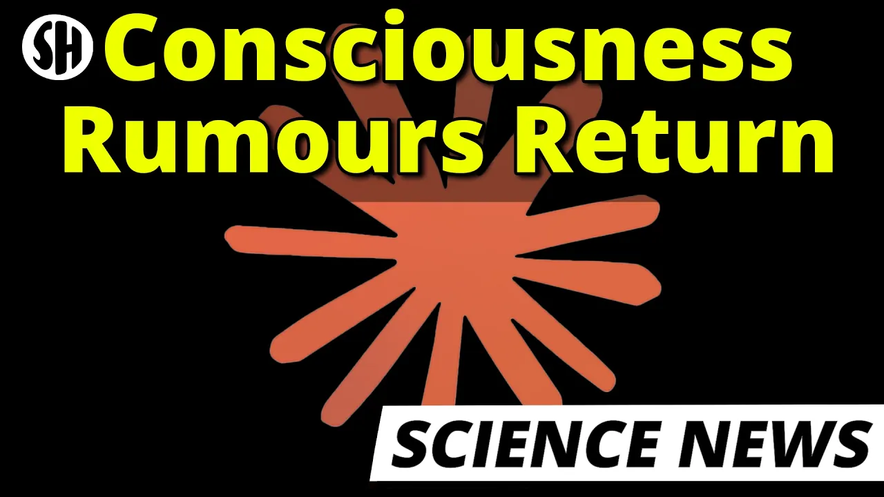AI Might Be Conscious, But Not As We Thought — Sabine Hossenfelder