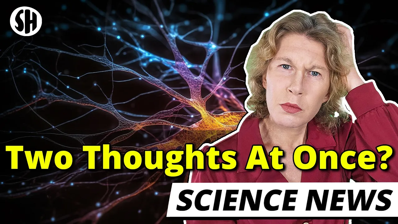 Human Thought Can Depend on Quantum Superpositions, Physicists Shows — Sabine Hossenfelder