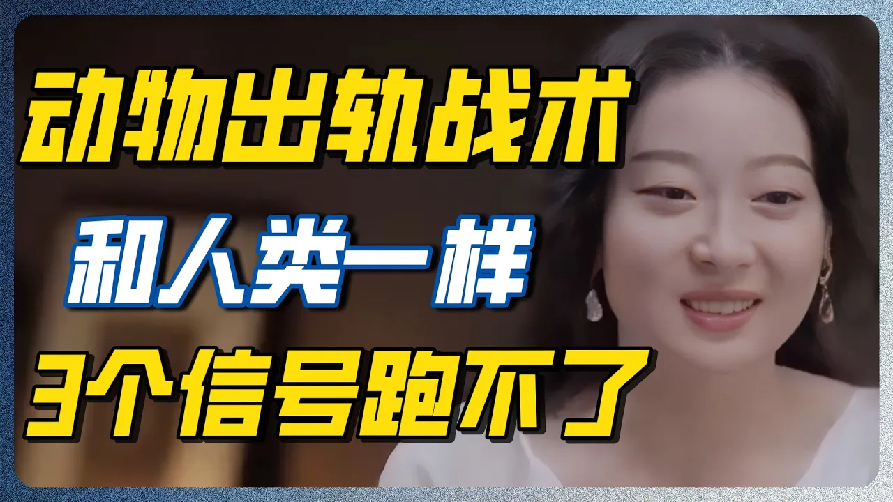 狮尾猴偷情时会刻意保持安静！动物界的出轨战术，人类一模一样 #圆桌派 #梁文道 — 纪实万象