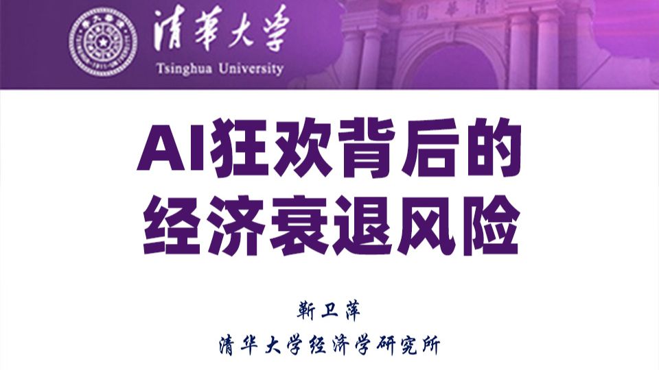 政策利好、美股新高…如何看懂及应对AI背后的衰退风险？【清华大学靳卫萍】 — 靳卫萍老师