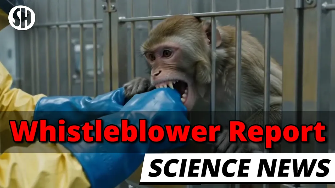 Monkey With Deadly Virus Bites Worker at US Government Lab — Sabine Hossenfelder