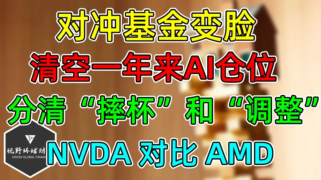 美股 对冲基金清空1年来AI仓位！不看好人工智能了吗？举例NVDA对比AMD！ — 视野环球财经