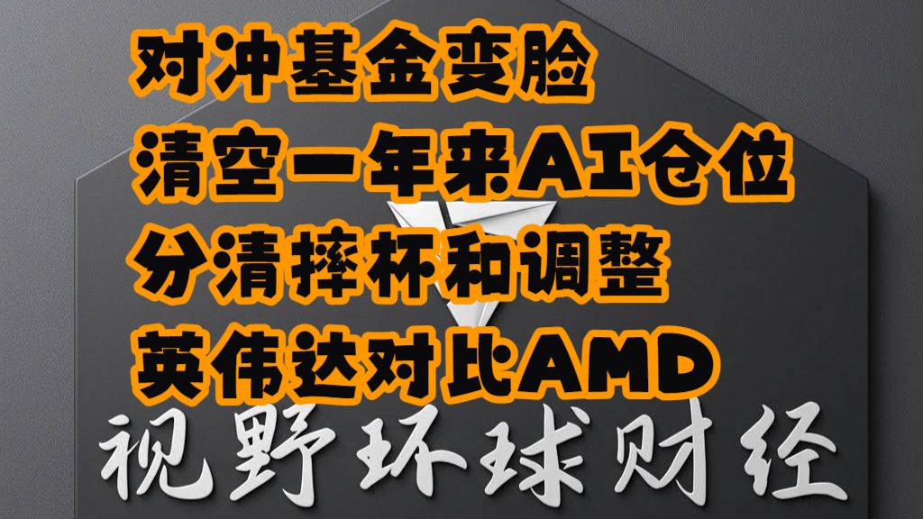 【视野环球财经】20261015美股 对冲基金清空1年来AI仓位！不看好人工智能了吗？举例NVDA对比AMD！ — 浑水摸鱼清源