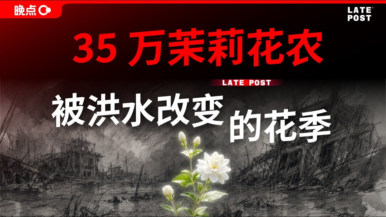 35 万茉莉花农，被洪水改变的花季 — 晚点LatePost