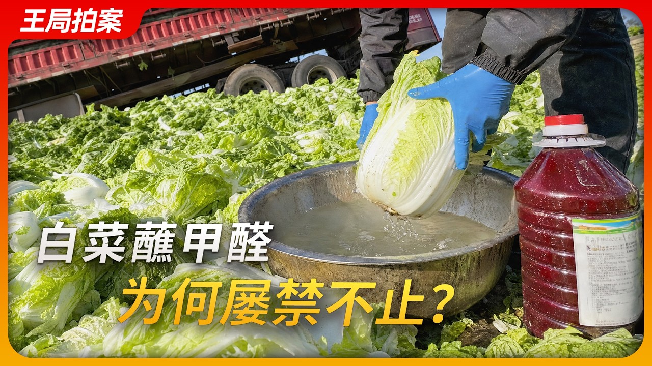 甲醛蘸白菜，为何屡禁不止？｜杨梅泡药｜敌敌畏｜食品安全｜王局拍案20260825 — 王志安 