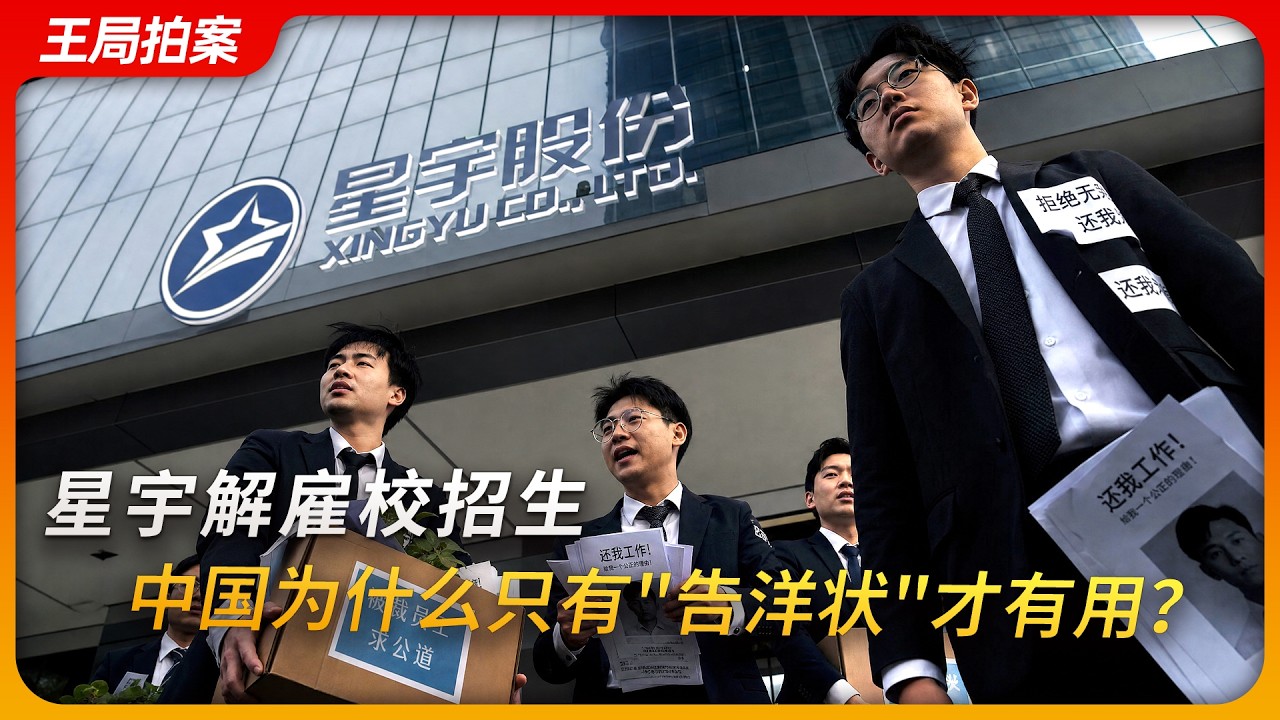 星宇为什么要解雇校招生？在中国为什么只有“告洋状”才有用？|王局拍案20260907 — 王志安 
