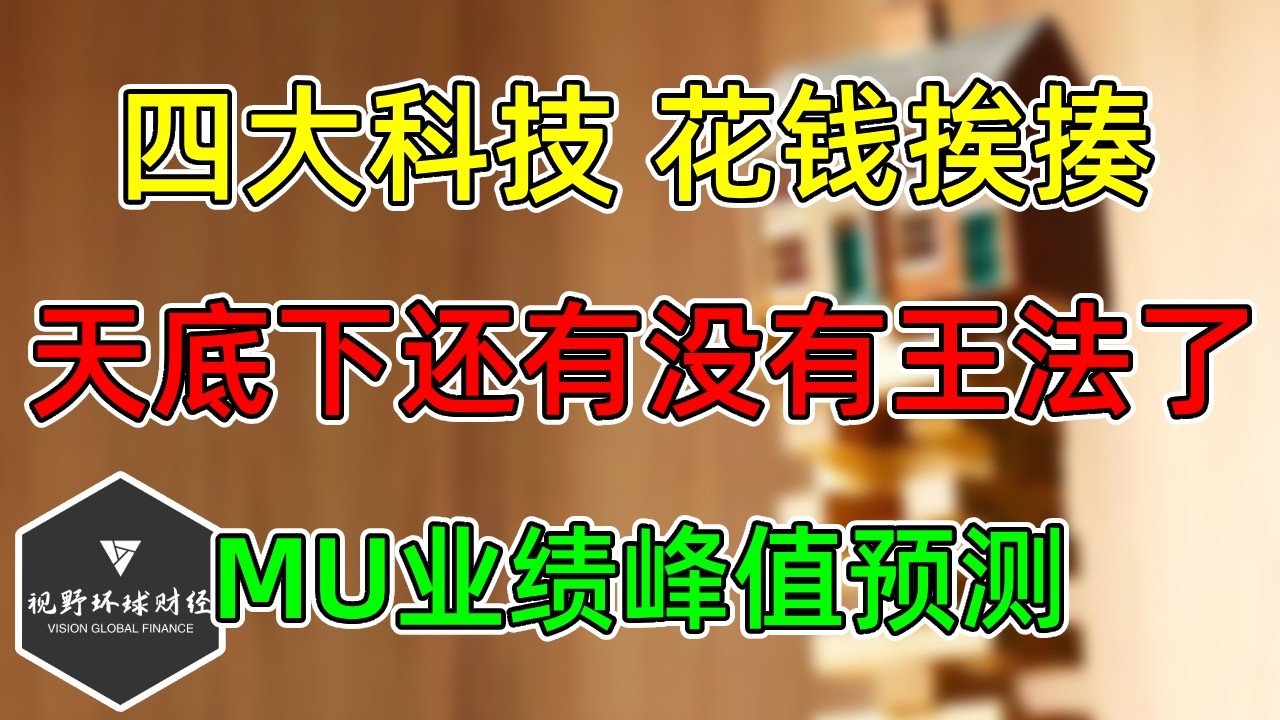 美股 MU业绩爆表，峰值预测在哪？四大科技花钱挨揍，到底还有没有王法了？ — 视野环球财经