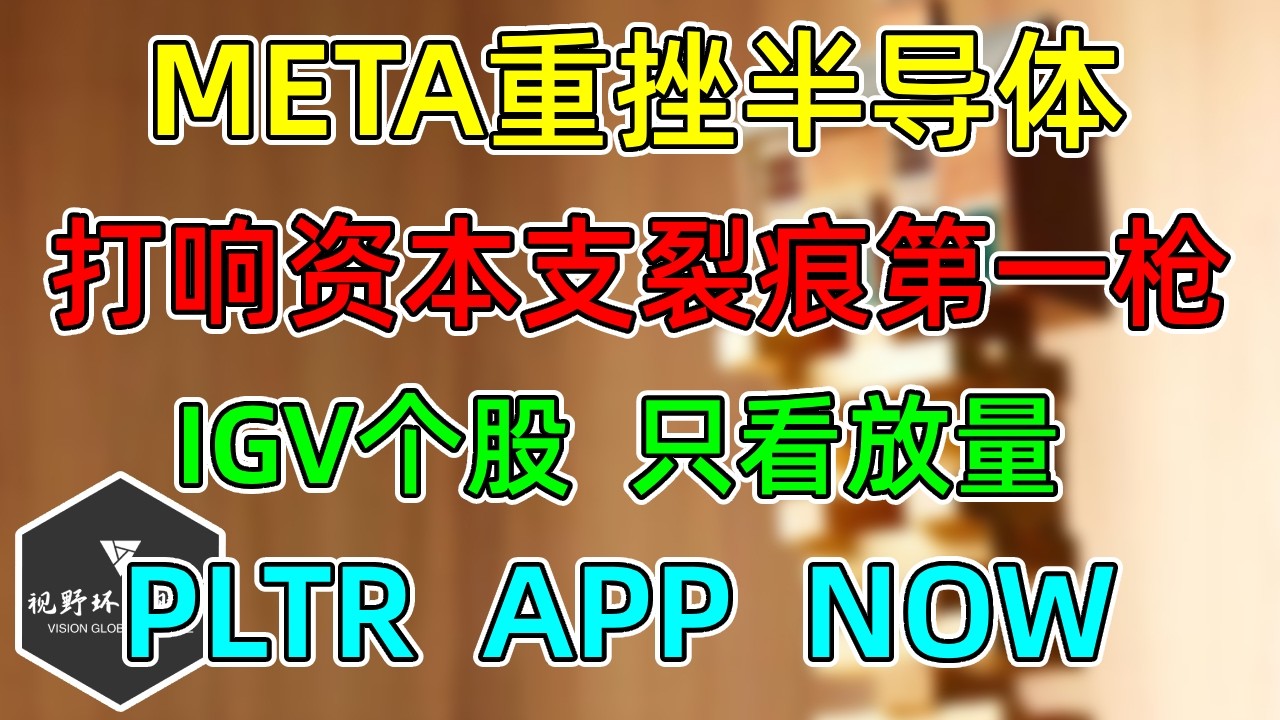 美股 META重挫半导体！打响资本支出裂痕第一枪！IGV个股，只看放量的，PLTR、APP、NOW！ — 视野环球财经