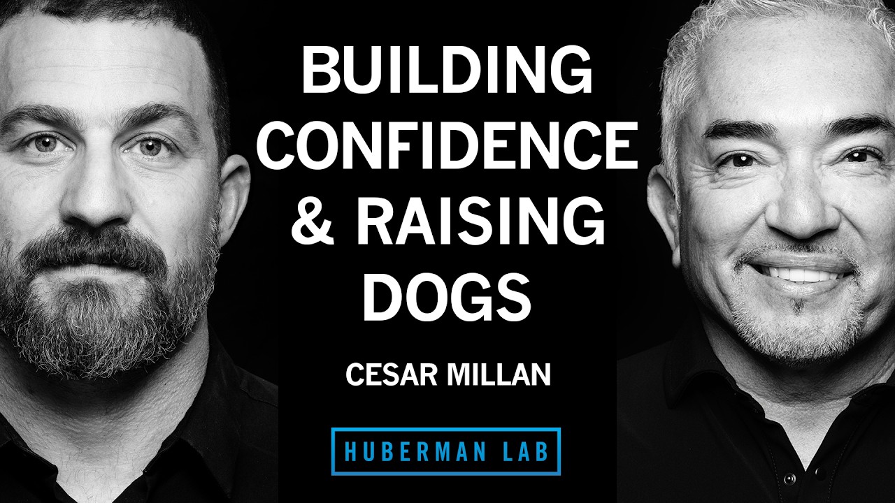 Raising a Dog & Mastering Calm Assertive Energy | Cesar Millan — Andrew Huberman