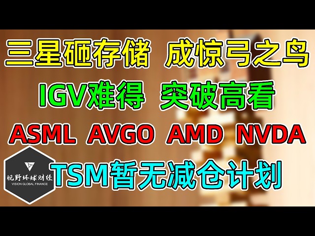 美股 三星砸存储，成惊弓之鸟！IGV难得，突破高看！ASML、AVGO、AMD、NVDA！TSM暂无减仓计划！ — 视野环球财经
