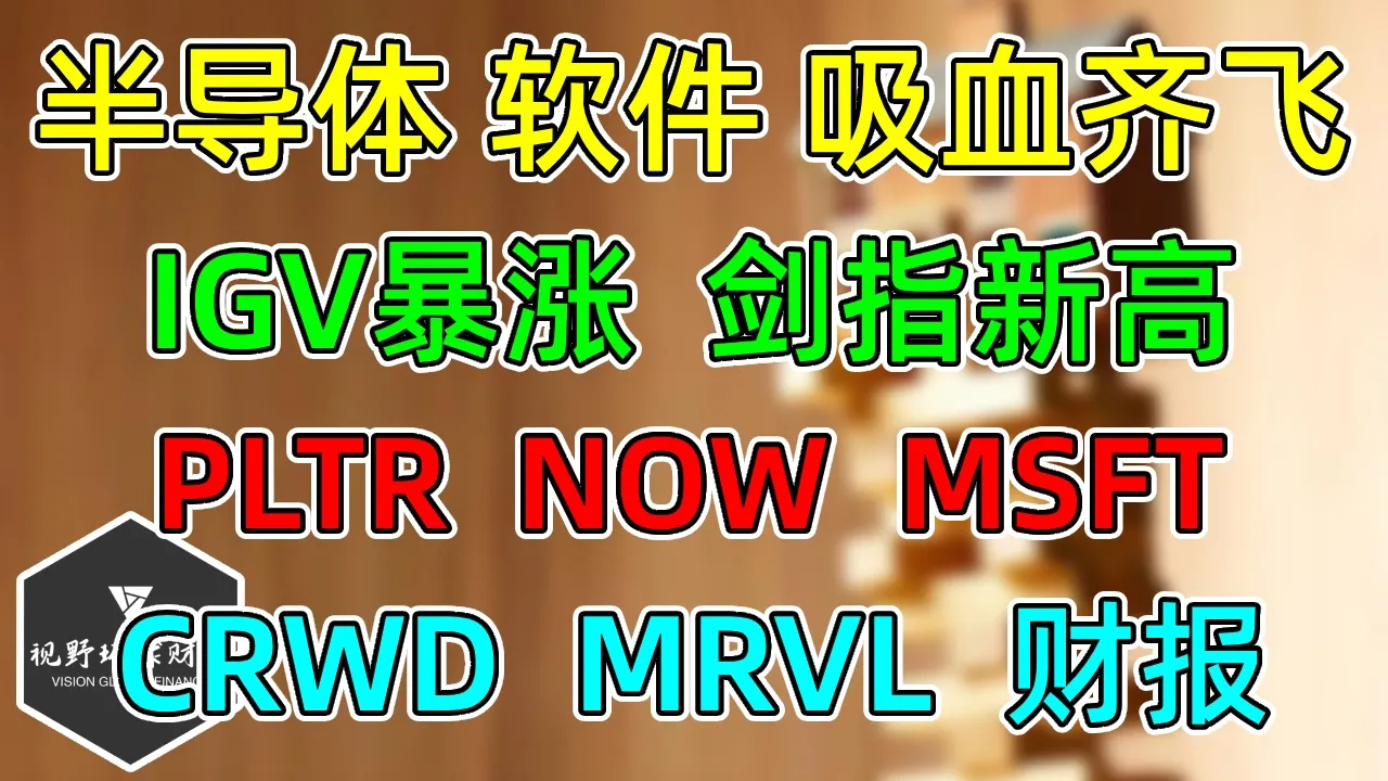 美股 罕见吸血，半导体、软件齐飞！IGV暴涨突破剑指新高！PLTR、NOW、MSFT！CRWD、MRVL财报！ — 视野环球财经