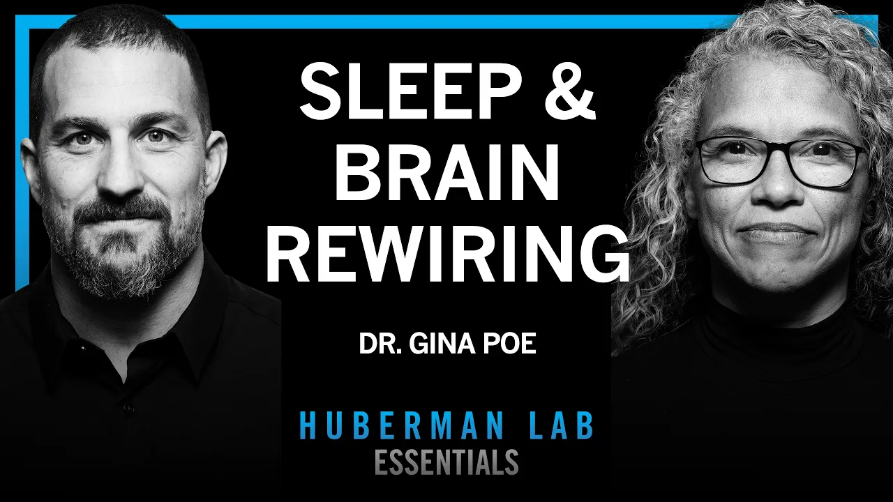 Essentials: Use Sleep to Enhance Learning, Memory & Emotional State | Dr. Gina Poe — Andrew Huberman