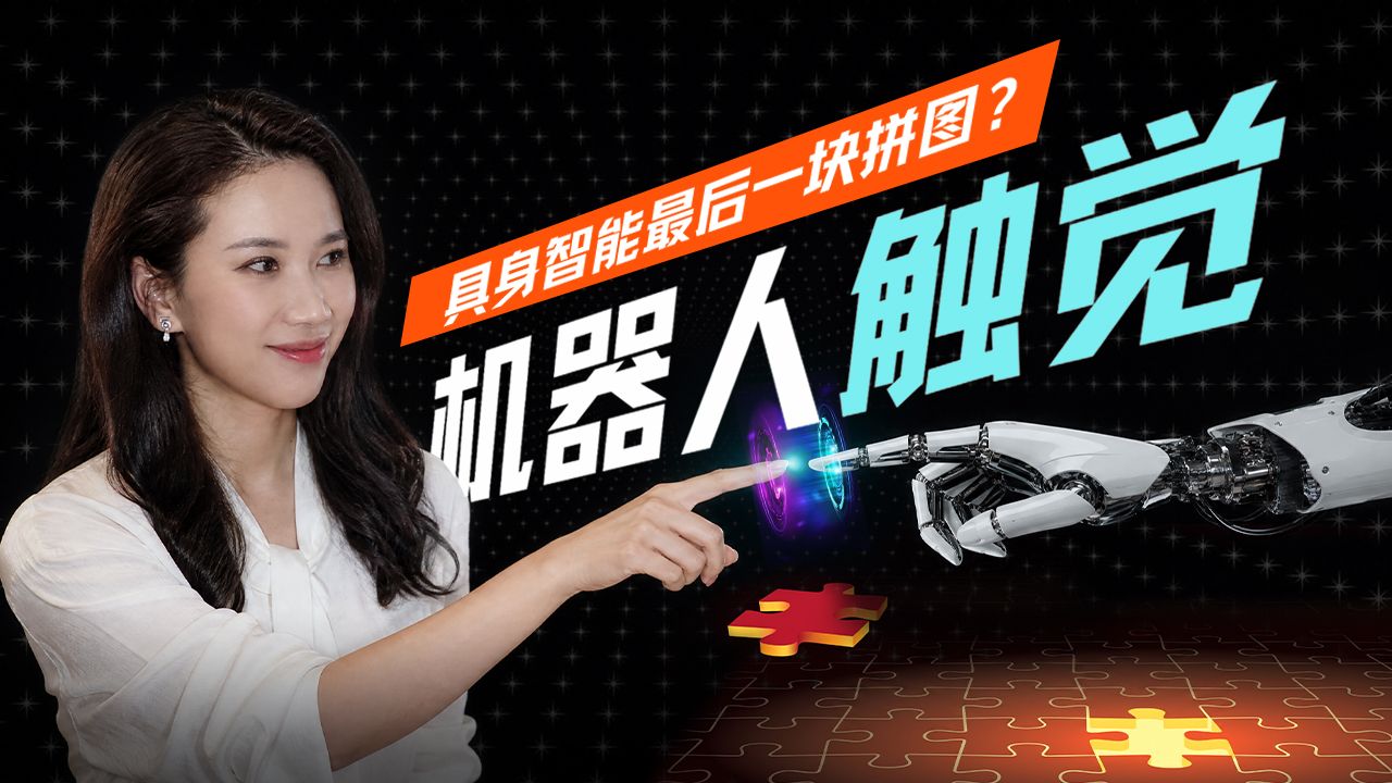机器人触觉的爆发前夜：五大技术路线、数据困局与模型之争【硅谷101】 — 硅谷101
