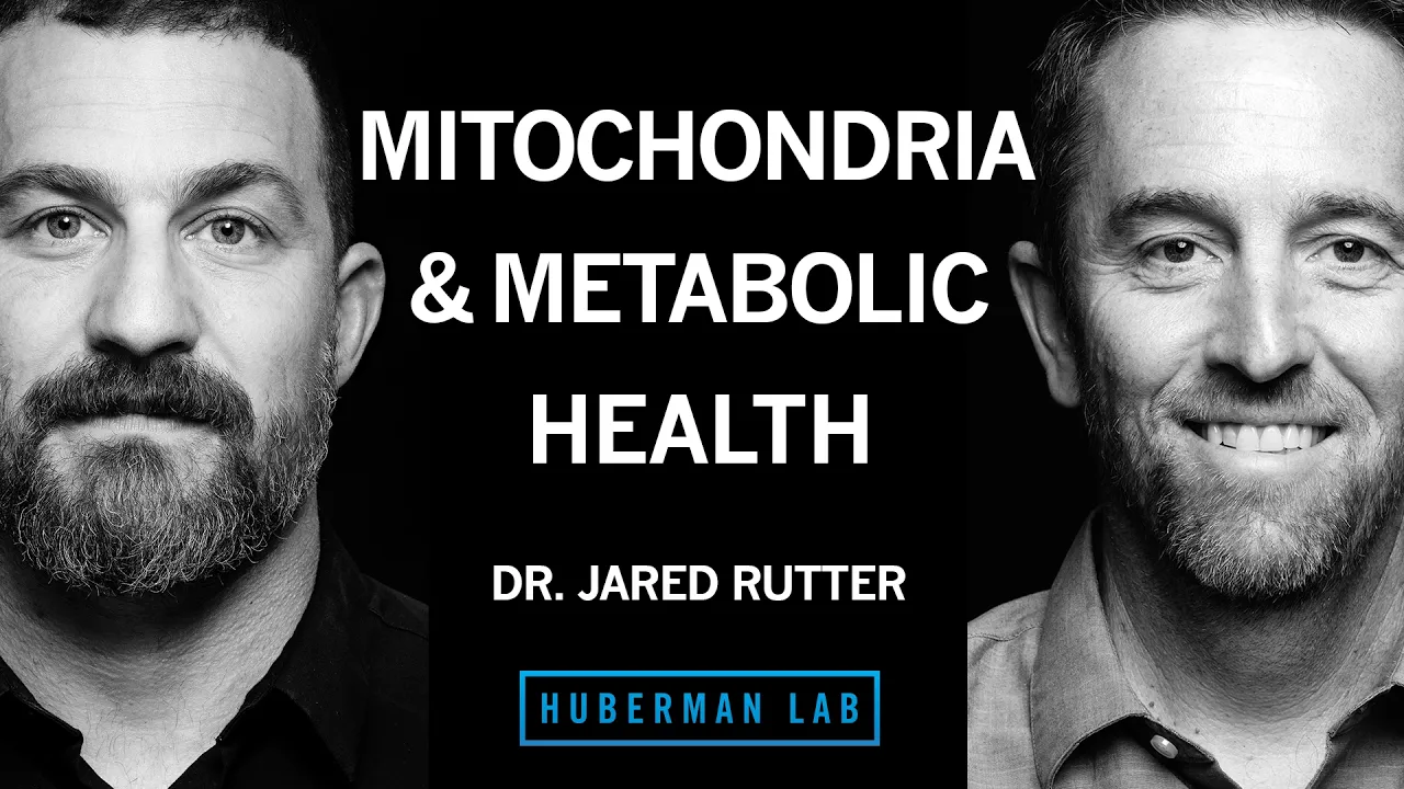 How Mitochondria Control Your Metabolism | Dr. Jared Rutter — Andrew Huberman